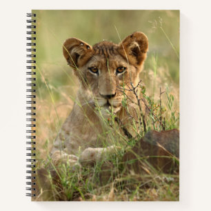 Cutest Baby Animals   Cute Baby Lion Cub Notebook