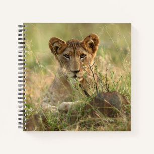 Cutest Baby Animals   Cute Baby Lion Cub Notebook
