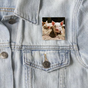 Cutest Baby Animals Cute Baby Piglet 15 Cm Square Badge