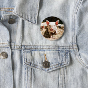 Cutest Baby Animals   Cute Baby Piglet 6 Cm Round Badge