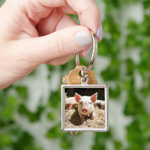 Cutest Baby Animals Cute Baby Piglet Key Ring