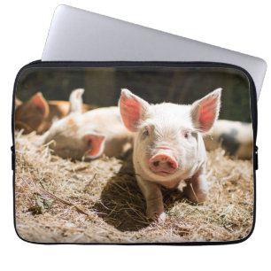 Cutest Baby Animals Cute Baby Piglet Laptop Sleeve
