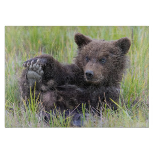Cutest Baby Animals   Cute Brown Bear Cub Playing Cutting Board