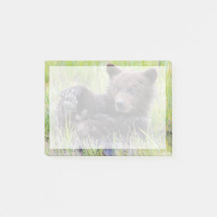 Cutest Baby Animals   Cute Brown Bear Cub Playing Post-it Notes