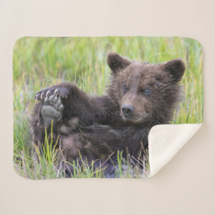 Cutest Baby Animals Cute Brown Bear Cub Playing Sherpa Blanket