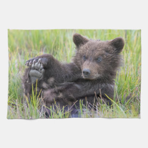 Cutest Baby Animals Cute Brown Bear Cub Playing Tea Towel