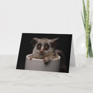 Cutest Baby Animals Cute Bushbaby Card