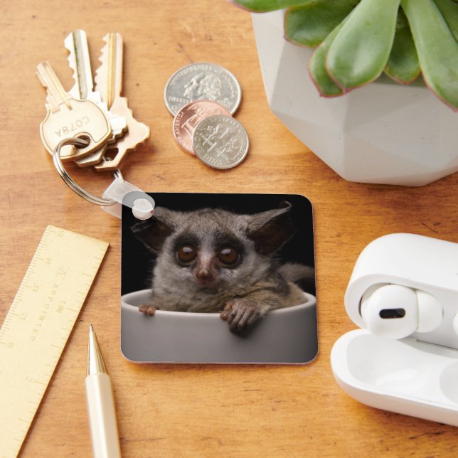 Cutest Baby Animals | Cute Bushbaby Key Ring (Desk)