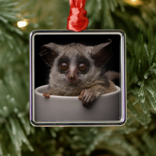 Cutest Baby Animals Cute Bushbaby Metal Tree Decoration