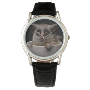 Cutest Baby Animals   Cute Bushbaby Watch