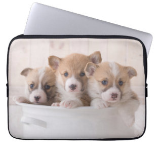 Cutest Baby Animals Cute Corgi Puppies in a Pot Laptop Sleeve