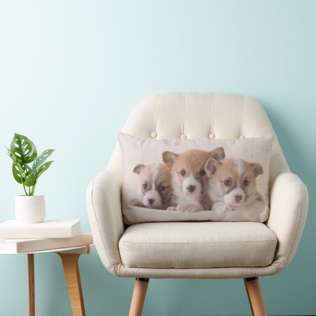 Cutest Baby Animals | Cute Corgi Puppies in a Pot Lumbar Cushion (Chair)