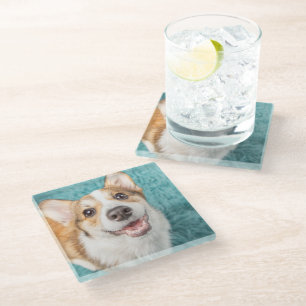 Cutest Baby Animals Cute Corgi Puppy Smile Glass Coaster