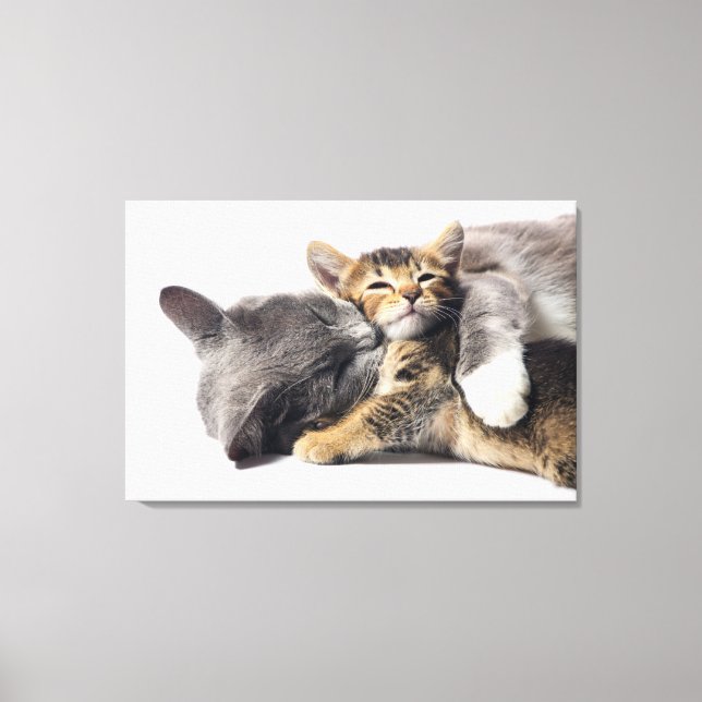Cutest Baby Animals | Cute Kitten Hug Canvas Print (Front)