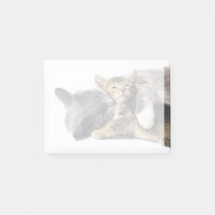 Cutest Baby Animals Cute Kitten Hug Post-it Notes
