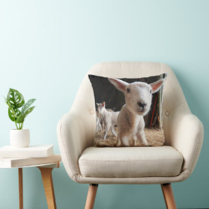 Cutest Baby Animals   Cute Lamb in a Farm Cushion
