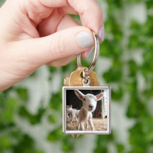Cutest Baby Animals Cute Lamb in a Farm Key Ring