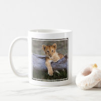 Cutest Baby Animals | Cute Lion Cub