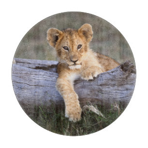 Cutest Baby Animals Cute Lion Cub Cutting Board