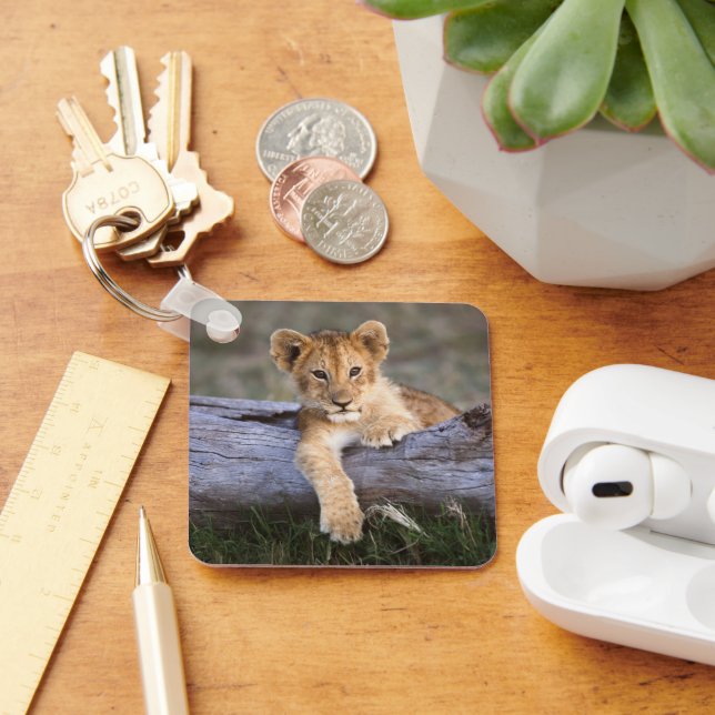 Cutest Baby Animals | Cute Lion Cub Key Ring (Desk)