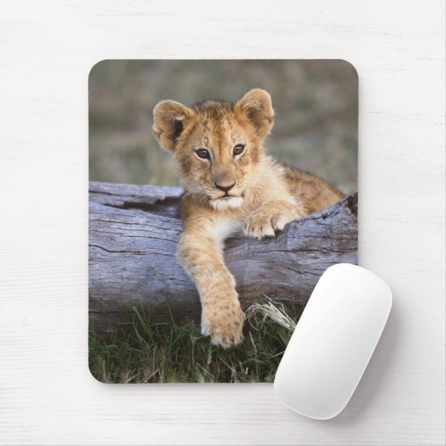 Cutest Baby Animals | Cute Lion Cub Mouse Pad (With Mouse)