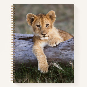 Cutest Baby Animals   Cute Lion Cub Notebook