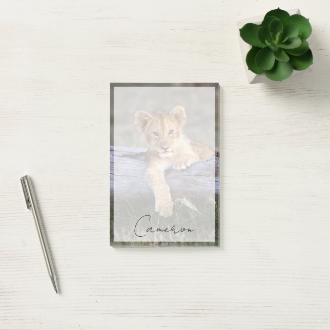 Cutest Baby Animals | Cute Lion Cub Post-it Notes (Office)