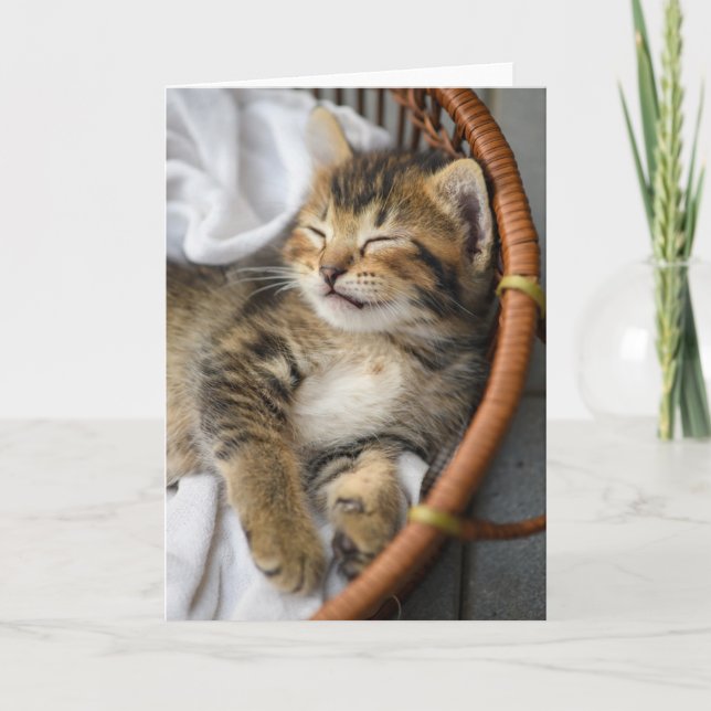 Cutest Baby Animals | Cute Tabby Cat Sleeping Card (Front)