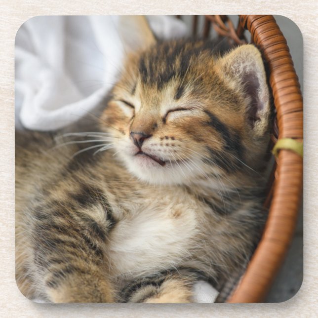 Cutest Baby Animals | Cute Tabby Cat Sleeping Coaster (Front)