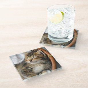 Cutest Baby Animals Cute Tabby Cat Sleeping Glass Coaster