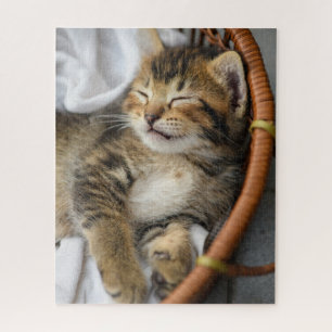 Cutest Baby Animals   Cute Tabby Cat Sleeping Jigsaw Puzzle