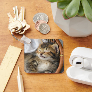 Cutest Baby Animals   Cute Tabby Cat Sleeping Key Ring