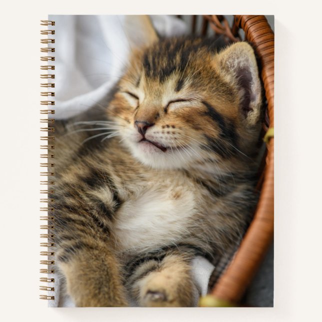 Cutest Baby Animals | Cute Tabby Cat Sleeping Notebook (Front)