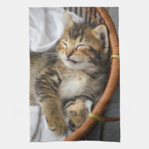 Cutest Baby Animals Cute Tabby Cat Sleeping Tea Towel