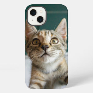 Cutest Baby Animals Cute Tabby Kitten iPhone 13 Case