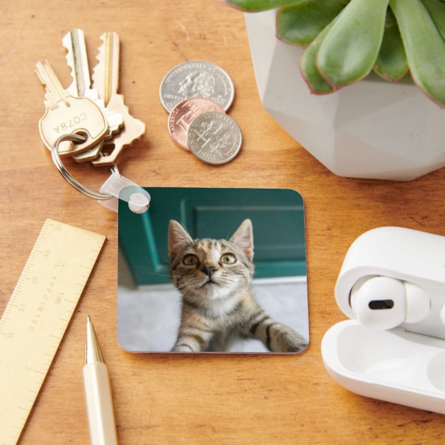 Cutest Baby Animals | Cute Tabby Kitten Key Ring (Desk)