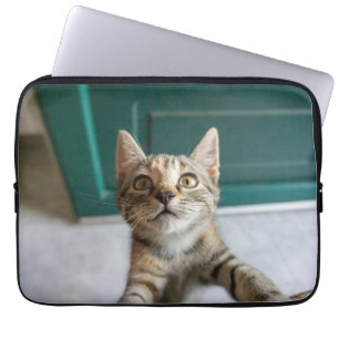 Cutest Baby Animals Cute Tabby Kitten Laptop Sleeve