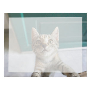 Cutest Baby Animals Cute Tabby Kitten Notepad
