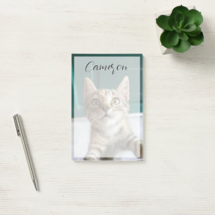 Cutest Baby Animals Cute Tabby Kitten Post-it Notes