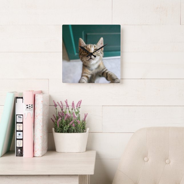 Cutest Baby Animals | Cute Tabby Kitten Square Wall Clock (Reading Room)
