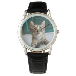 Cutest Baby Animals Cute Tabby Kitten Watch