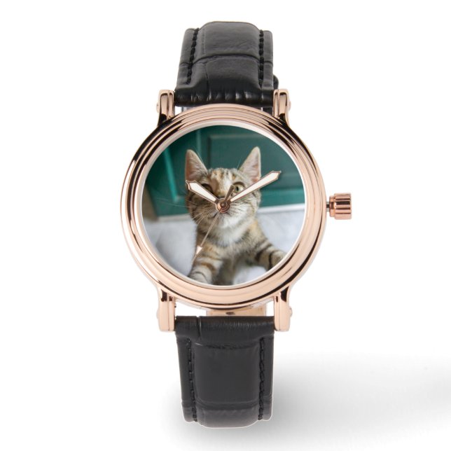 Cutest Baby Animals | Cute Tabby Kitten Watch (Front)