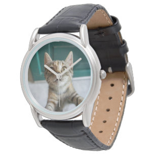 Cutest Baby Animals Cute Tabby Kitten Watch