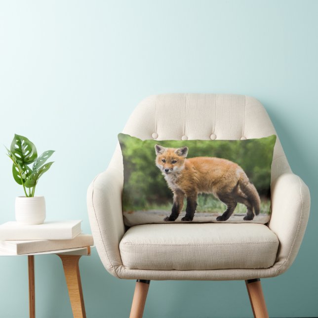 Cutest Baby Animals | Cutey Fox Lumbar Cushion (Chair)