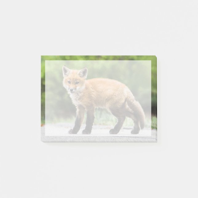 Cutest Baby Animals | Cutey Fox Post-it Notes (Front)