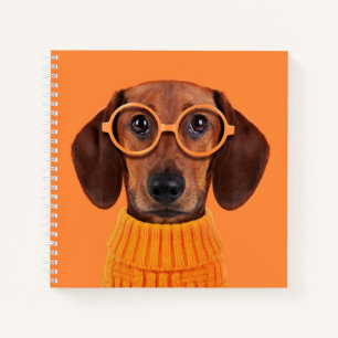Cutest Baby Animals   Dachshund Orange Sweater Notebook