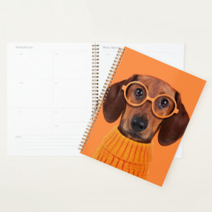 Cutest Baby Animals   Dachshund Orange Sweater Planner