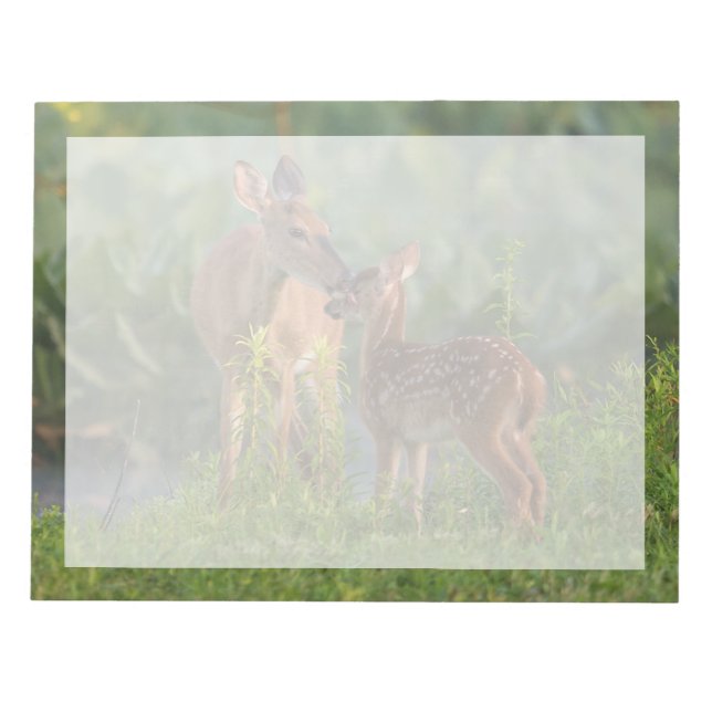 Cutest Baby Animals | Deer and Baby Notepad (Front)