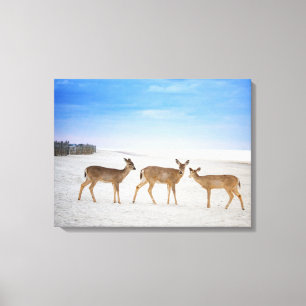 Cutest Baby Animals Deer at the Beach Canvas Print