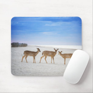 Cutest Baby Animals   Deer at the Beach Mouse Pad
